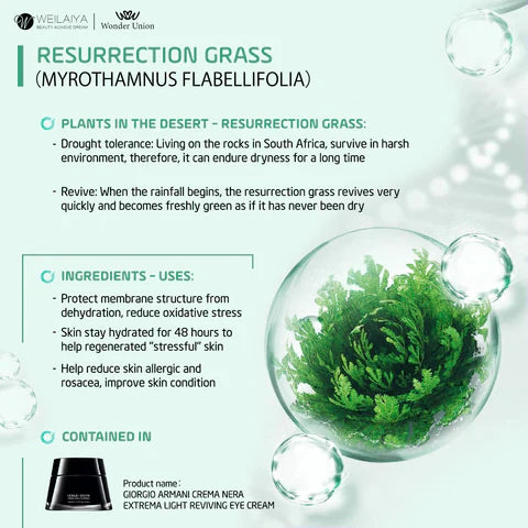 WEILAIYA RESURRECTION GRASS MOISTURIZING FACIAL MASK - MyAllures 