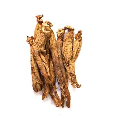 A cluster of KOREAN 6 YEARS DRIED RED GINSENG ROOTS on a white background, available to buy at MyAllures.